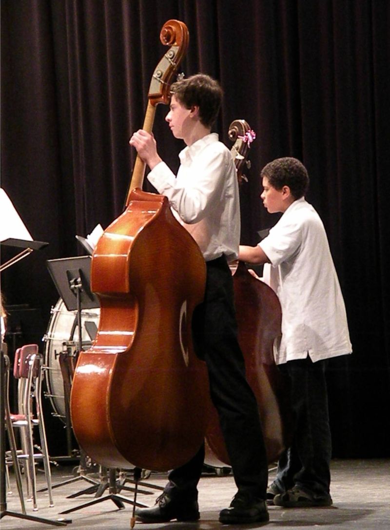 051611 Sweet sound of strings