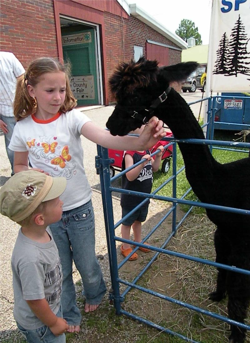 060611 From alpacas to finished products, the Great Lakes Fiber Show has it all