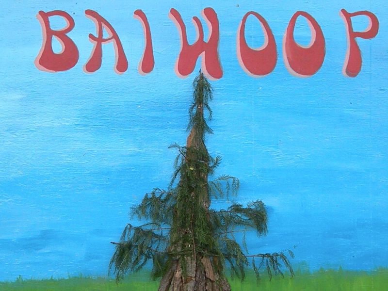 080811 Baiwoop Art Festival celebrates the recovery of Secrest Arboretum
