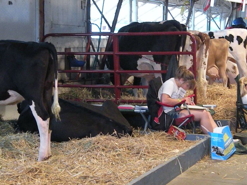 091911 (Part 2) Images of the Wayne County Fair