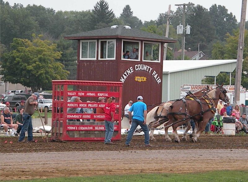 091911 Pulling their own weight