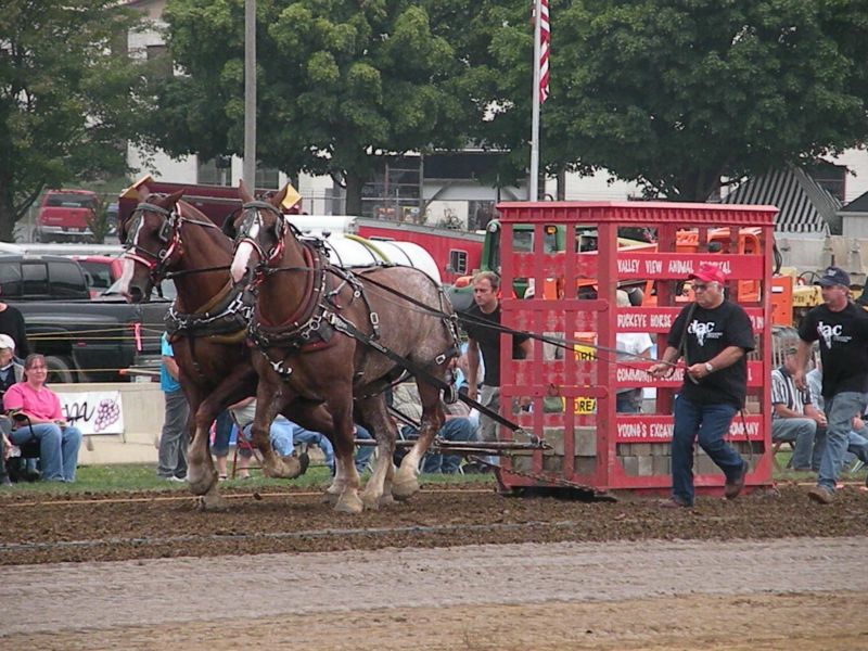 091911 Pulling their own weight