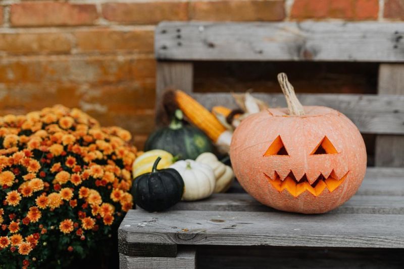 10 things to do with pumpkins