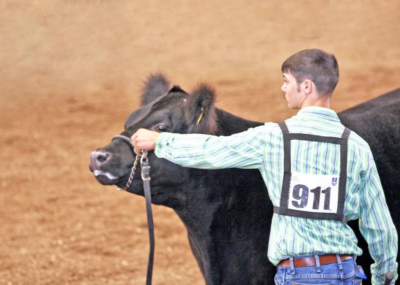 174th Wayne County Fair is Sept. 9-14