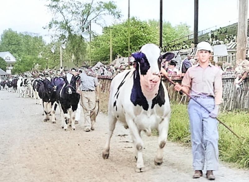 175 years of the Wayne County Fair to be celebrated with 2-day event
