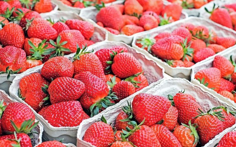 18th annual Bolivar Strawberry Festival is June 6-8