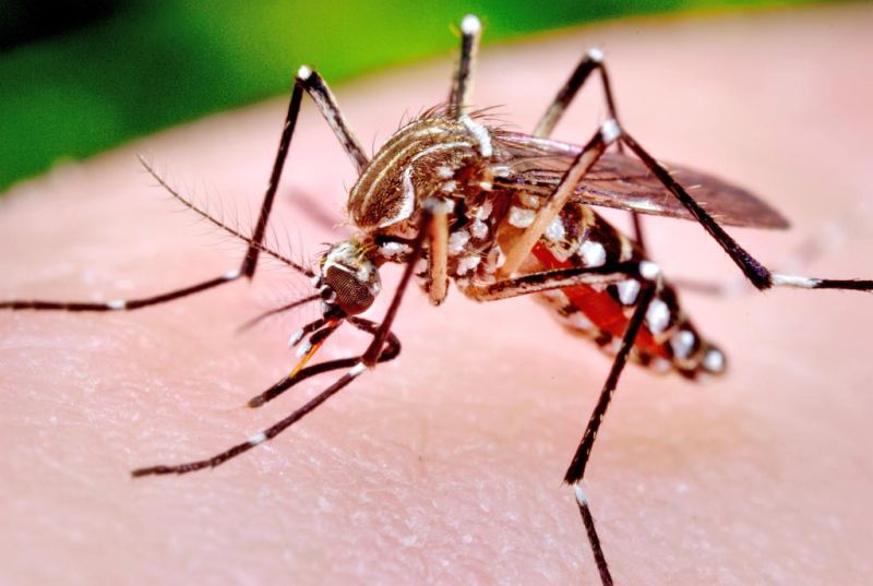 2 more locations test positive for West Nile virus