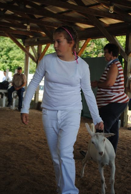 4Hers show their goats at the Holmes County Fair