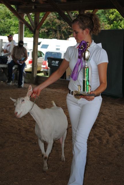 4Hers show their goats at the Holmes County Fair