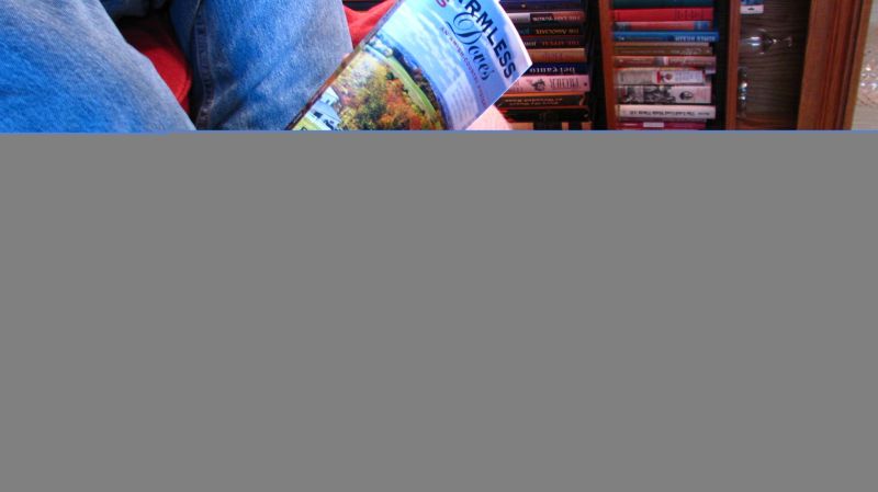 A Man of Mystery: Writer Paul Gaus