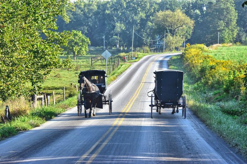 Amish road safety group seeks ways to lower horseshoe damage