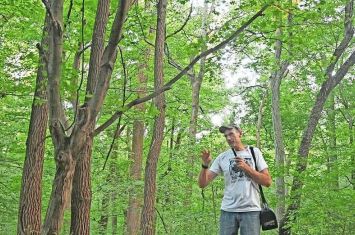 Ancestor Acres opens up new world of exploration for kids