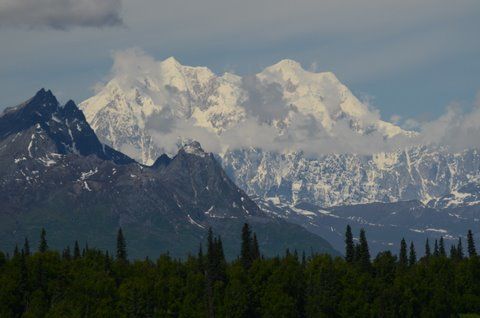 Anchorage area birding