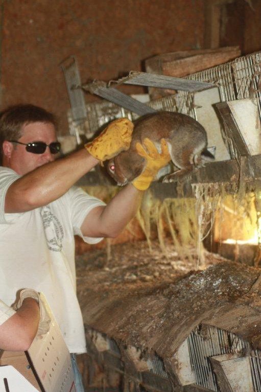 Animal abuse uncovered at OK Haven Farm