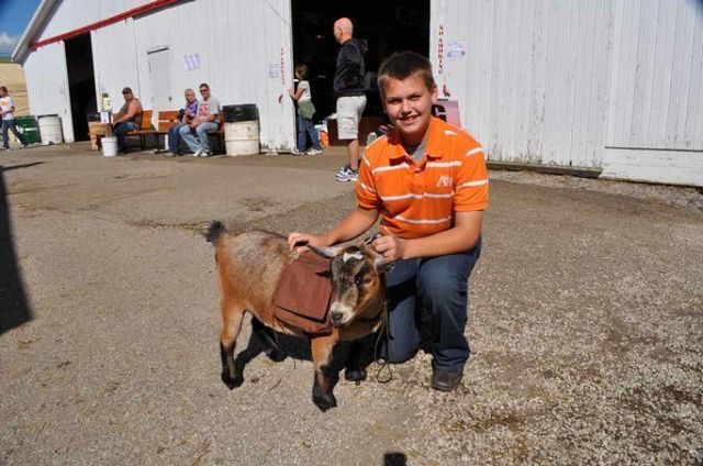 Animals are the main event at the Wayne County Fair