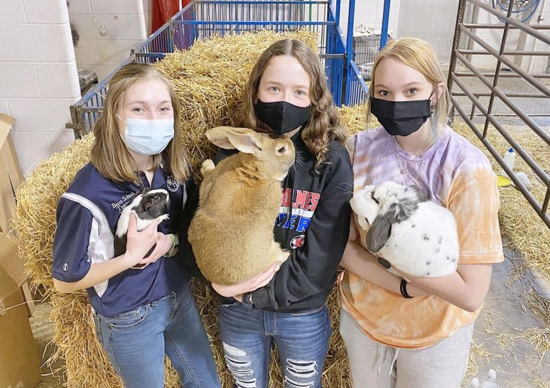 Animals brighten FFA Week for West Holmes students