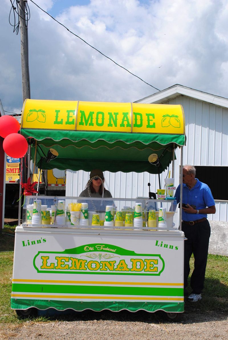 Annual Kid's Day provides fun for families at the Holmes County Fair