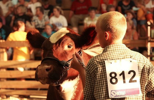 Another fine show
2012 Holmes County Fair gets county one step closer to exciting new home