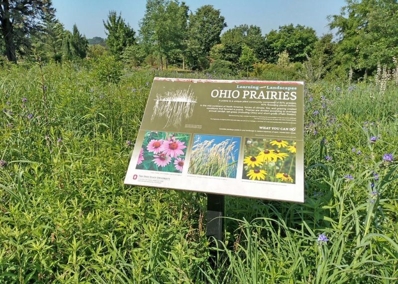 ACHS hosting lecture on prairie grasses, gardens