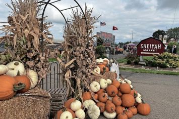 Area festivals beckon this fall around Holmes County