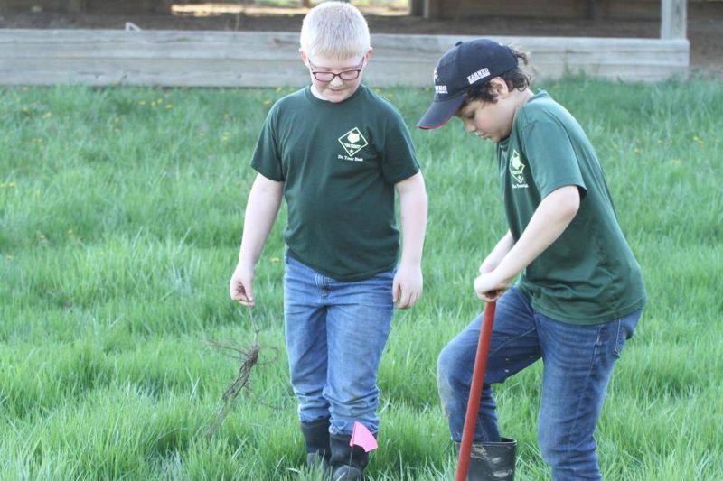 Area Scouts unite to plant a sugar maple grove in Millersburg