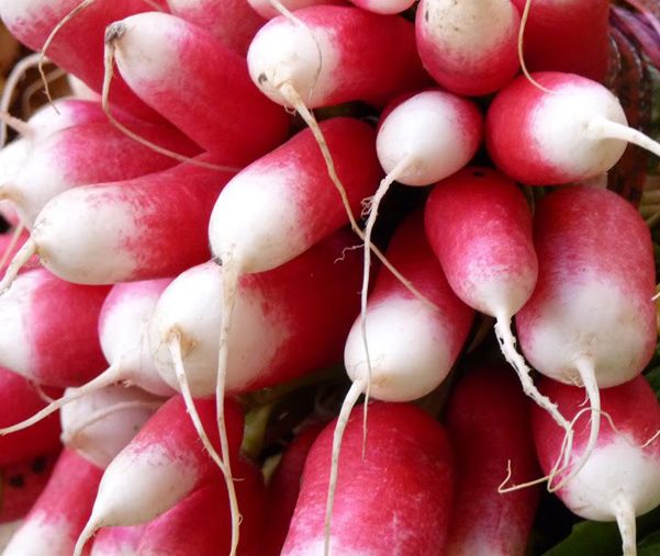 ATH: Grow the right amount of vegetable in the garden