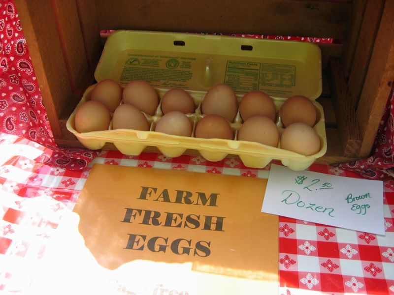 ATH: Include locally produced eggs in a healthy diet