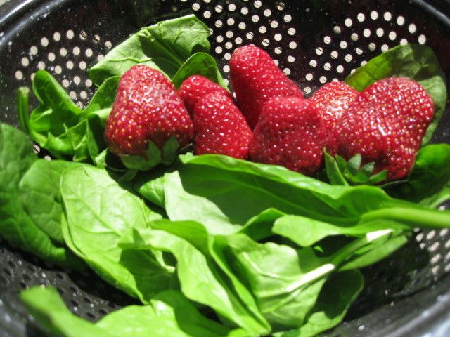 ATH: Strawberries partner well in savory dishes