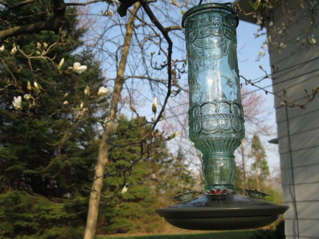 Attract Hummingbirds with plants and homemade nectar