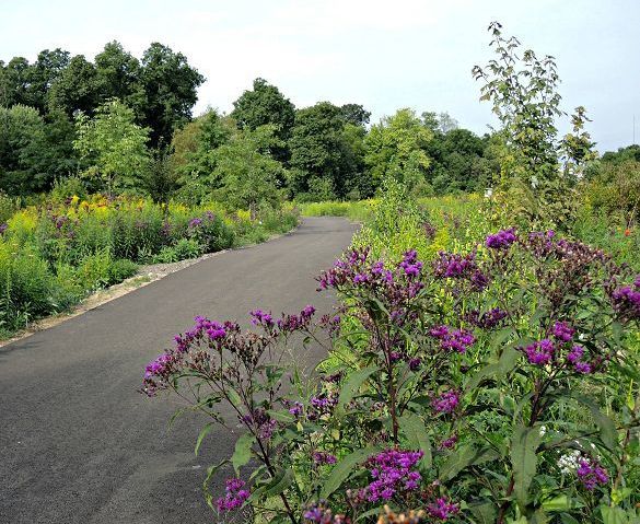 Barnes Preserve grand opening and Caseys Trails dedication