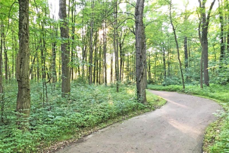 Barnes Preserve volunteers keep the park thriving