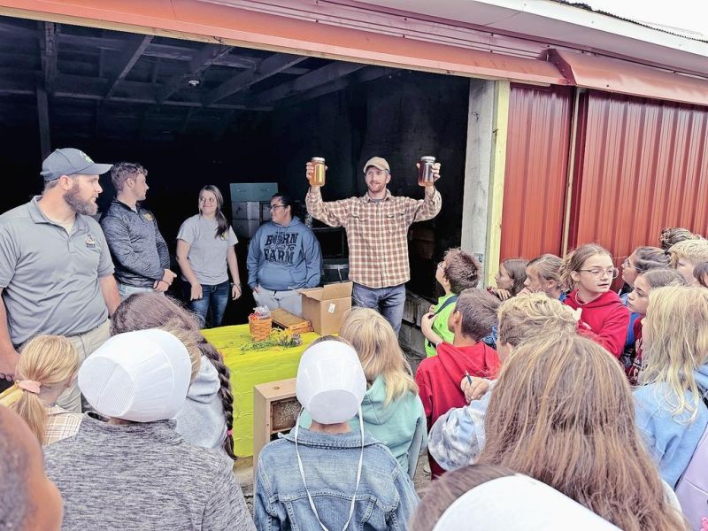 Bees a powerful ally in the farming community