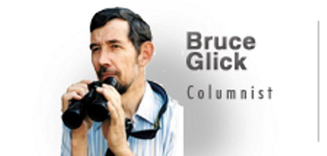 Birding in New Mexico