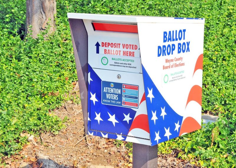 BOE director pleased by turnout for Aug. 8 election