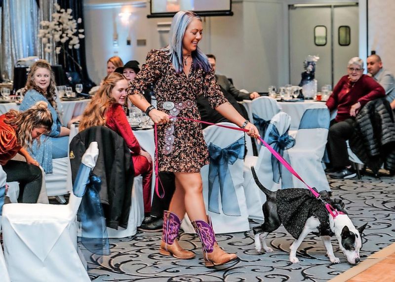 Bow Wow Ball raises funds for Wayne Co. Dog Shelter