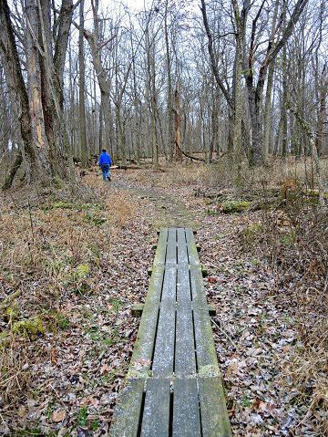 Brown's Lake Bog excellent example of the impact of Ohio's last glacier