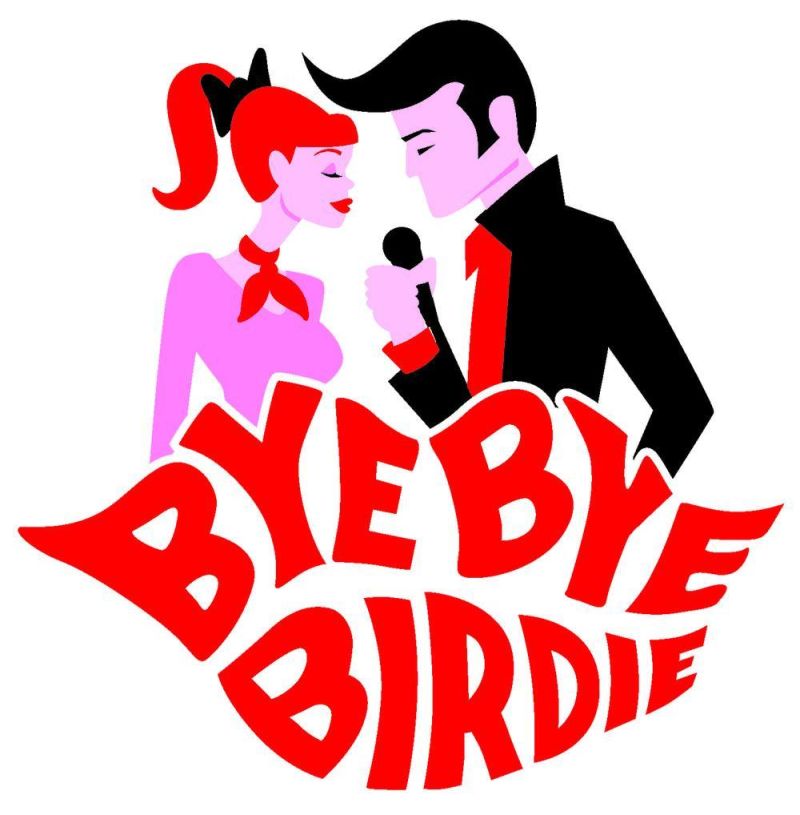 ‘Bye Bye Birdie’ opens