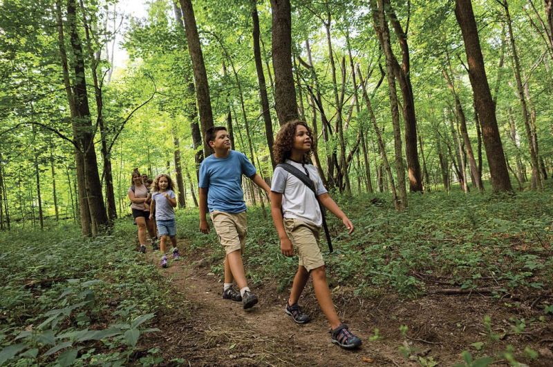 Capture the Canvas at local parks