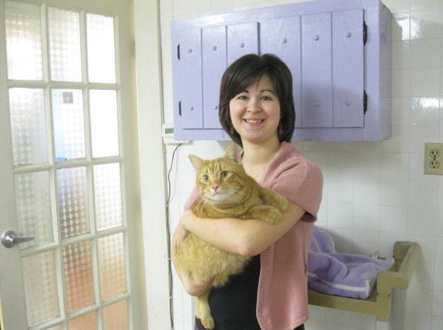 Cats n Us partners with Humane Society