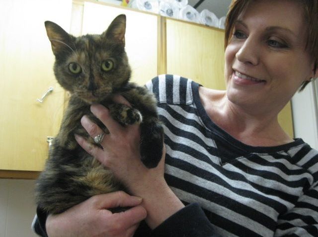 Cats n Us partners with Humane Society