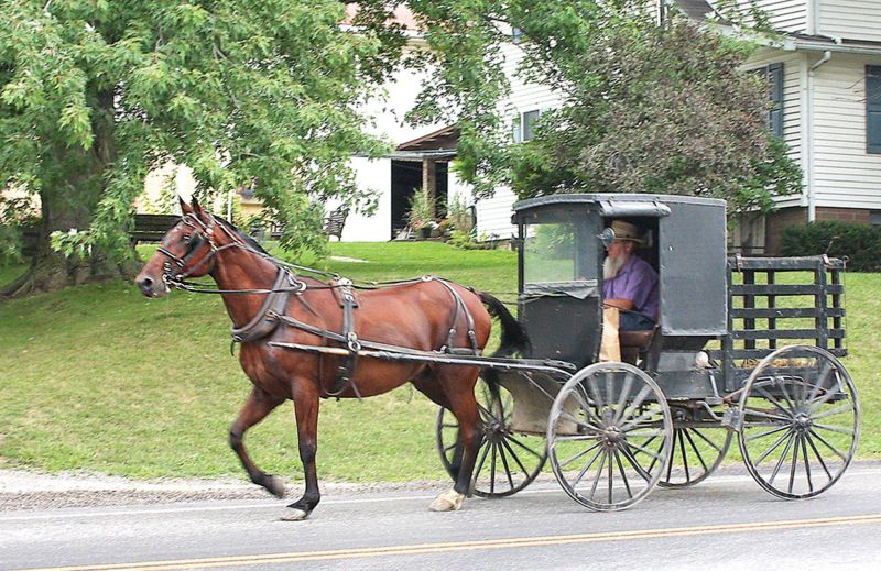 Charm Days returns with even more fall fun