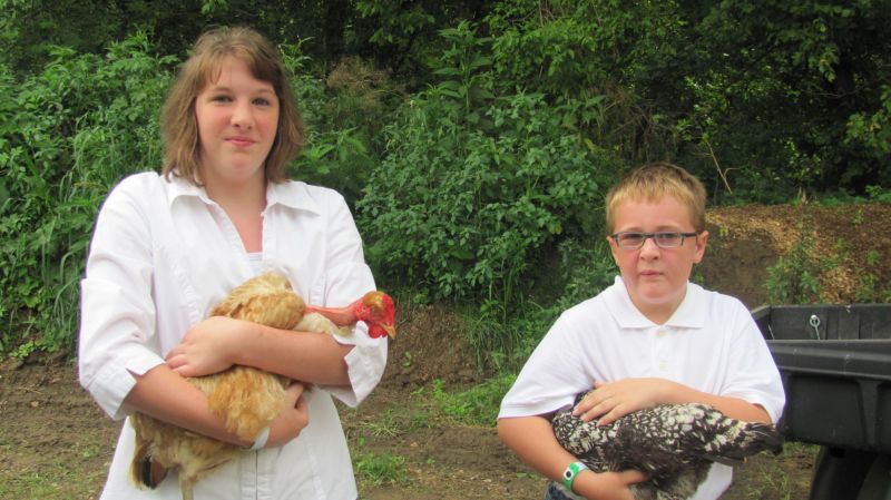 Chickens and ducks and geese – oh my! Poultry judging takes flight on first day of Holmes County Fair