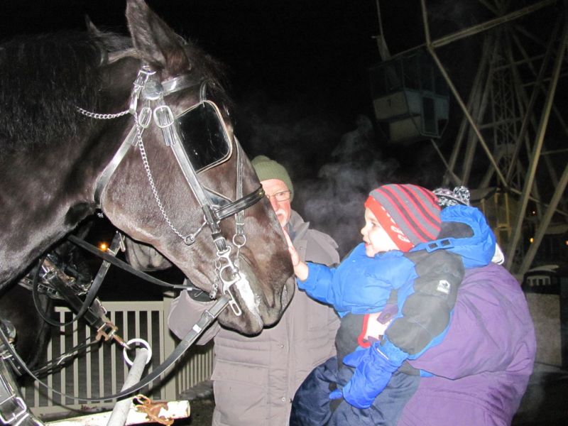 Christmas in the Park: a gift to the community