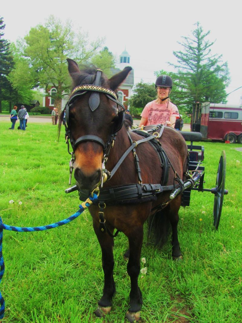 Clippity clopping along the streets of Zoar Village