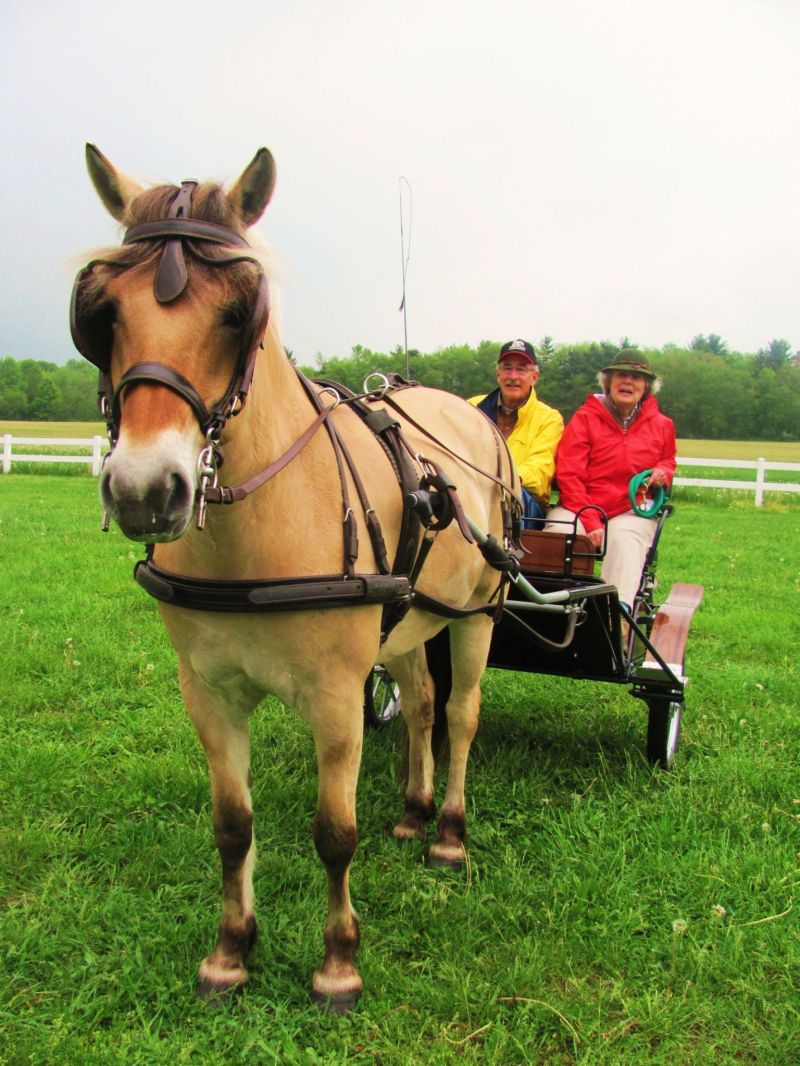 Clippity clopping along the streets of Zoar Village