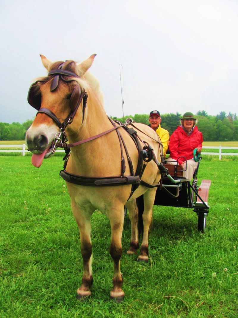 Clippity clopping along the streets of Zoar Village