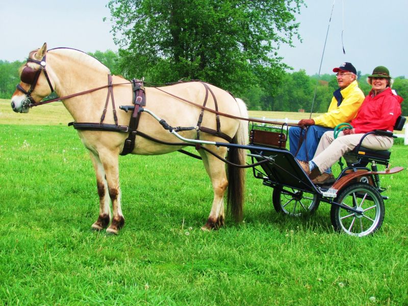 Clippity clopping along the streets of Zoar Village