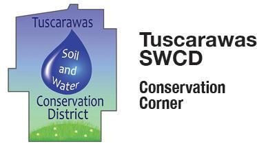 Conservation issues are even found in urban settings