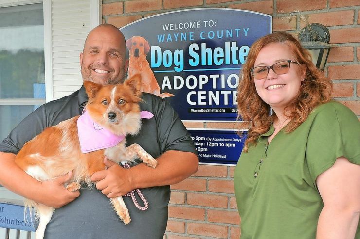 Wayne dog shelter understaffed, overcapacity