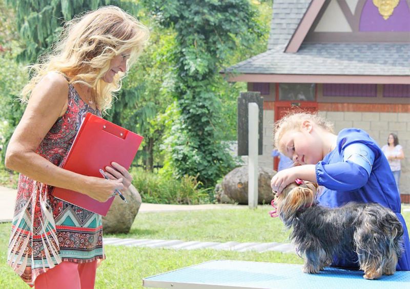 County Fair Dog Show participants sit, stay and come